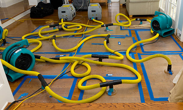 Professional Sewage Cleanup technician working in Syria, VA